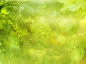 1197815_green_flower_background[1]
